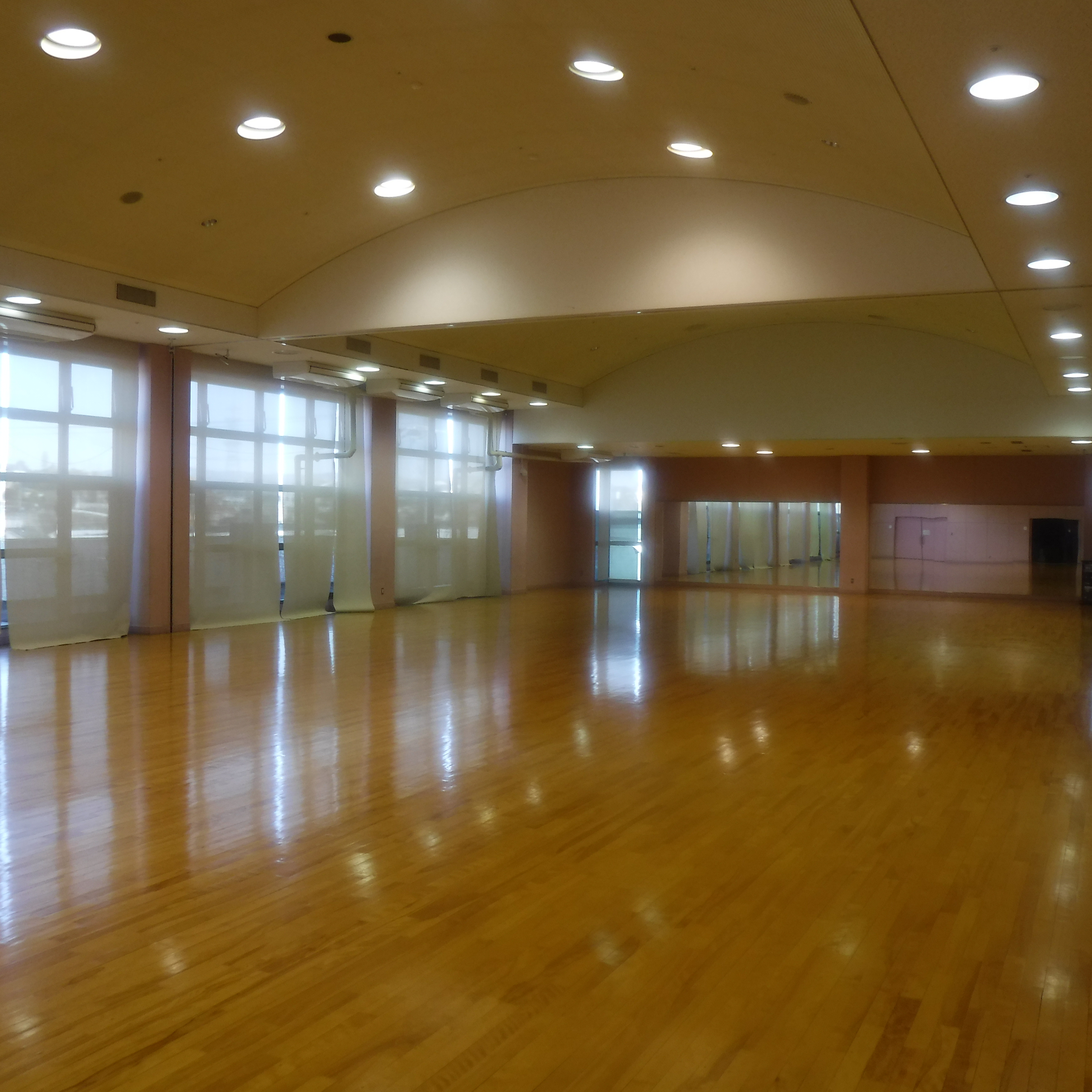 公の場での発言・インタビュー報道記録